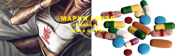 прущие крисы Алзамай
