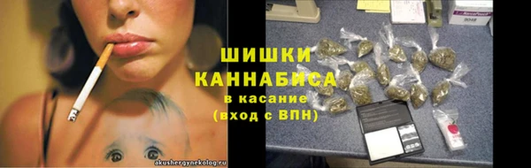 сатива Абинск