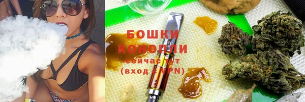 шишки Абаза